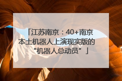 江苏南京：40+南京本土机器人上演现实版的“机器人总动员”