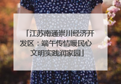 江苏南通崇川经济开发区：端午传情暖民心 文明实践润家园