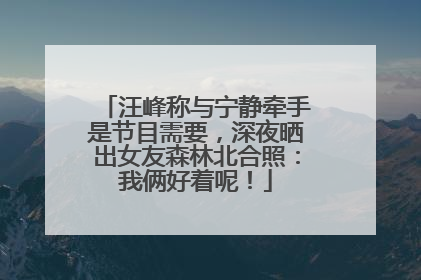 汪峰称与宁静牵手是节目需要，深夜晒出女友森林北合照：我俩好着呢！