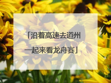 沿着高速去道州 一起来看龙舟赛