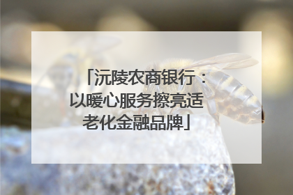 沅陵农商银行：以暖心服务擦亮适老化金融品牌