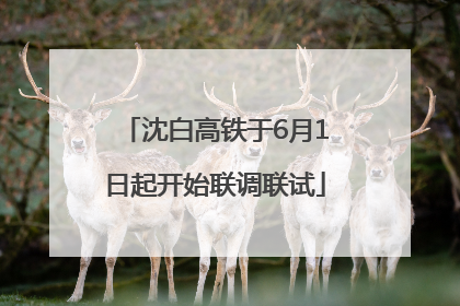 沈白高铁于6月1日起开始联调联试