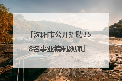 沈阳市公开招聘358名事业编制教师