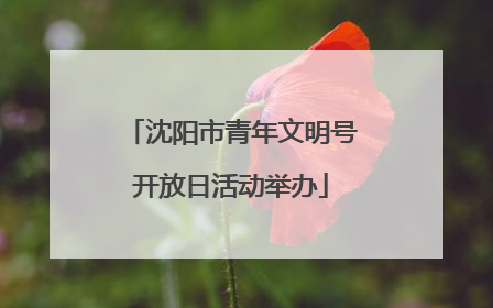沈阳市青年文明号开放日活动举办