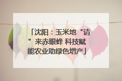 沈阳：玉米地“请”来赤眼蜂 科技赋能农业助绿色增产