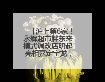 沪上第6家！永辉超市胖东来模式调改店明起亮相嘉定宝龙，外贸专区商品增至13款