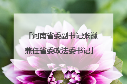 河南省委副书记张巍兼任省委政法委书记