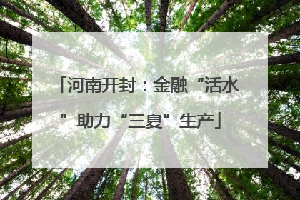 河南开封：金融“活水”助力“三夏”生产
