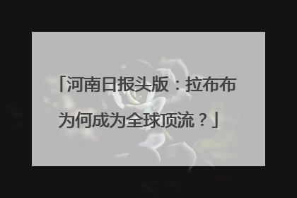 河南日报头版：拉布布为何成为全球顶流？