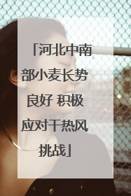 河北中南部小麦长势良好 积极应对干热风挑战