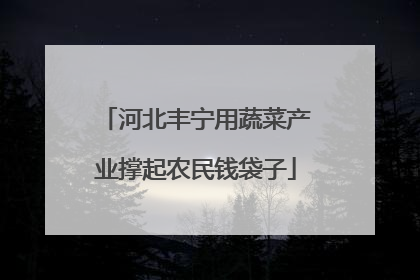 河北丰宁用蔬菜产业撑起农民钱袋子