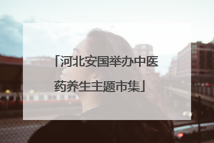 河北安国举办中医药养生主题市集