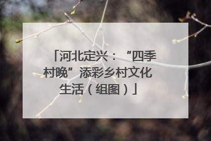 河北定兴：“四季村晚”添彩乡村文化生活（组图）