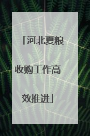 河北夏粮收购工作高效推进