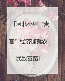 河北小村“麦客”经济铺就农民致富路
