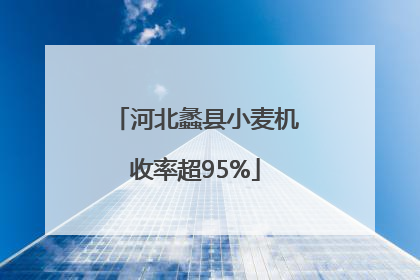 河北蠡县小麦机收率超95%