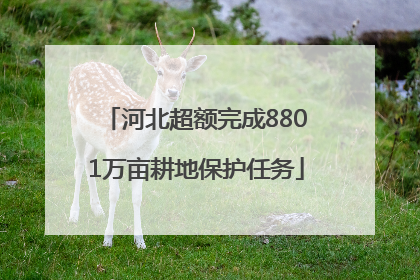 河北超额完成8801万亩耕地保护任务