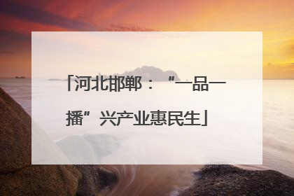 河北邯郸：“一品一播”兴产业惠民生