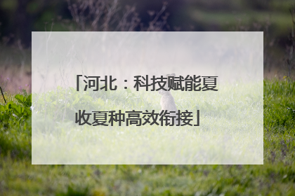 河北：科技赋能夏收夏种高效衔接