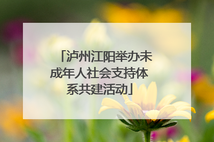 泸州江阳举办未成年人社会支持体系共建活动