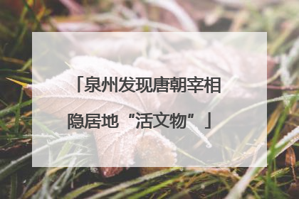 泉州发现唐朝宰相隐居地“活文物”