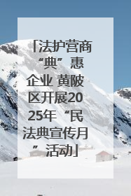 法护营商 “典”惠企业 黄陂区开展2025年“民法典宣传月”活动
