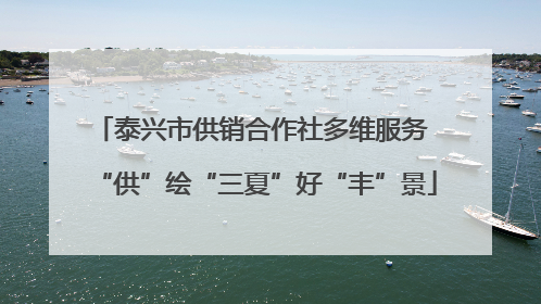 泰兴市供销合作社多维服务 “供”绘“三夏”好“丰”景