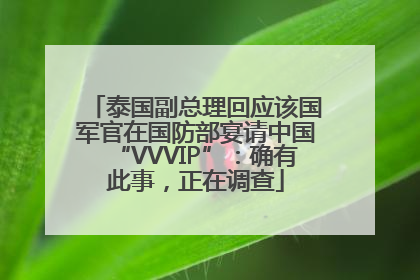 泰国副总理回应该国军官在国防部宴请中国“VVVIP”：确有此事，正在调查