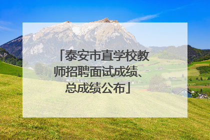 泰安市直学校教师招聘面试成绩、总成绩公布