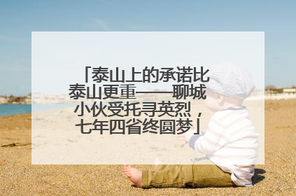 泰山上的承诺比泰山更重——聊城小伙受托寻英烈，七年四省终圆梦