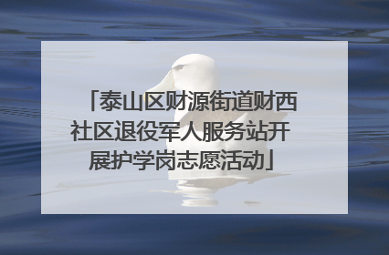 泰山区财源街道财西社区退役军人服务站开展护学岗志愿活动