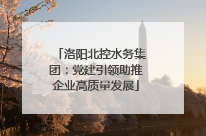 洛阳北控水务集团：党建引领助推企业高质量发展