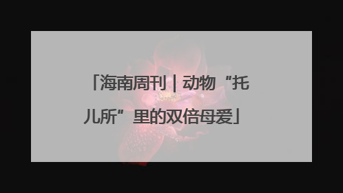海南周刊｜动物“托儿所”里的双倍母爱