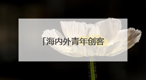 海内外青年创客相聚扬州古运河畔 共同打造文旅融合新范式