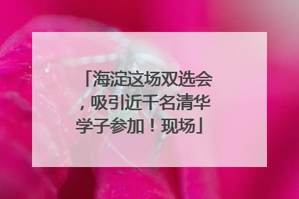 海淀这场双选会，吸引近千名清华学子参加！现场
