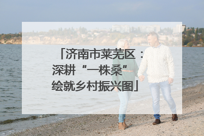 济南市莱芜区：深耕“一株桑” 绘就乡村振兴图