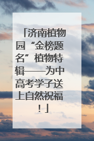 济南植物园“金榜题名”植物特辑——为中高考学子送上自然祝福！