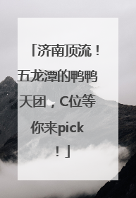 济南顶流！五龙潭的鸭鸭天团，C位等你来pick！