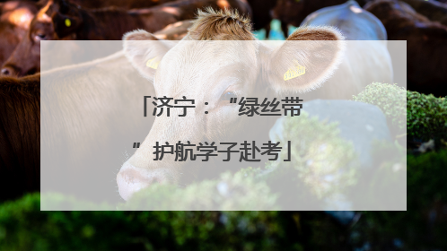 济宁：“绿丝带”护航学子赴考