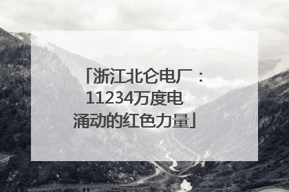 浙江北仑电厂：11234万度电涌动的红色力量