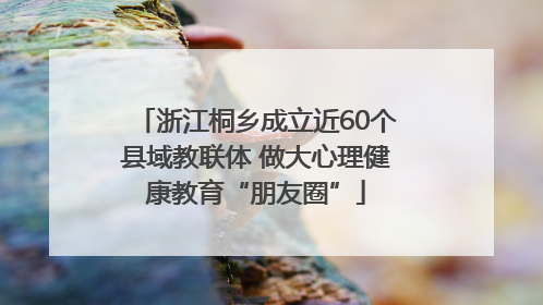 浙江桐乡成立近60个县域教联体 做大心理健康教育“朋友圈”