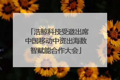 浩鲸科技受邀出席中国移动中资出海数智赋能合作大会