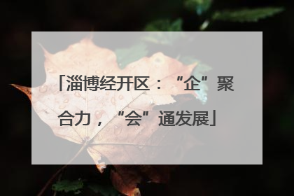 淄博经开区：“企”聚合力，“会”通发展