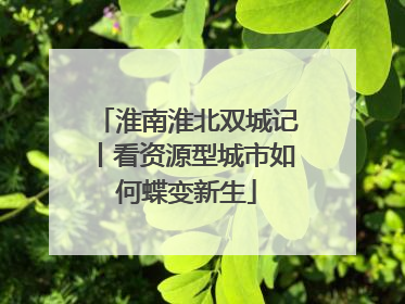 淮南淮北双城记丨看资源型城市如何蝶变新生