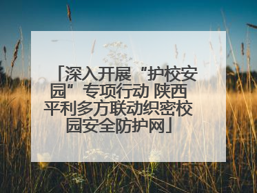 深入开展“护校安园”专项行动 陕西平利多方联动织密校园安全防护网