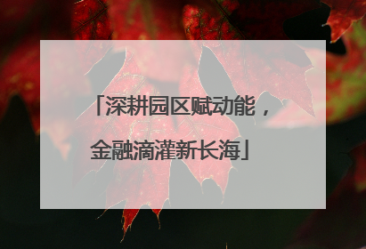 深耕园区赋动能，金融滴灌新长海