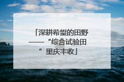 深耕希望的田野——“综合试验田”里庆丰收