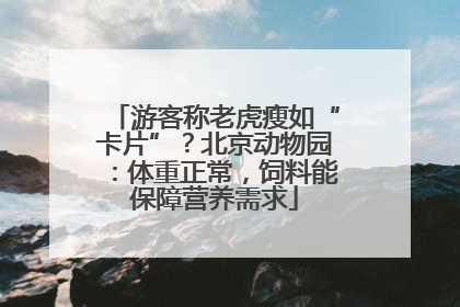 游客称老虎瘦如“卡片”？北京动物园：体重正常，饲料能保障营养需求