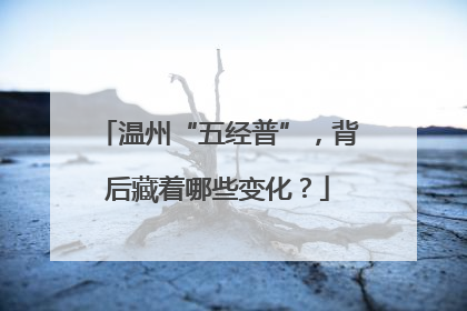 温州“五经普”，背后藏着哪些变化？