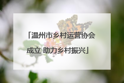 温州市乡村运营协会成立 助力乡村振兴